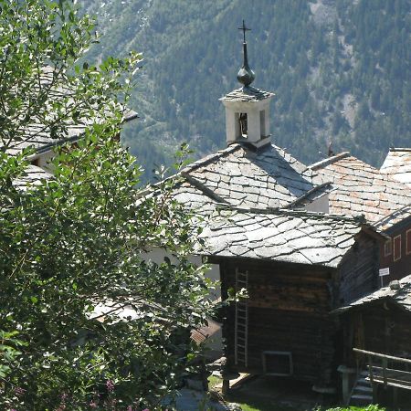 Alpia 26 - Zwei Zimmerwohnung In Traditionellem Walliser Haus Gasenried Extérieur photo