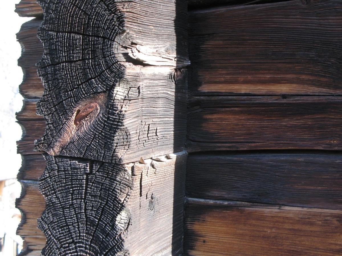 Alpia 26 - Zwei Zimmerwohnung In Traditionellem Walliser Haus Gasenried Extérieur photo