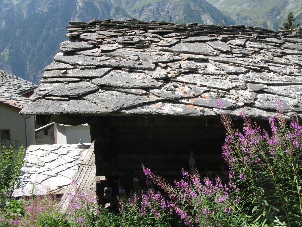 Alpia 26 - Zwei Zimmerwohnung In Traditionellem Walliser Haus Gasenried Extérieur photo