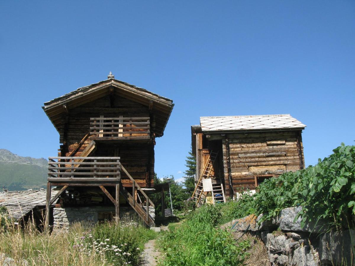 Alpia 26 - Zwei Zimmerwohnung In Traditionellem Walliser Haus Gasenried Extérieur photo